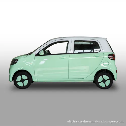 Family Polular Rhd Minn New Energy Vehicle